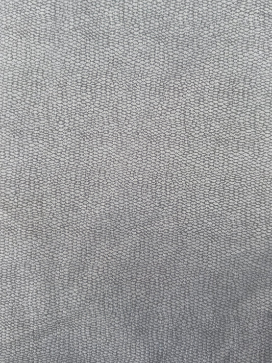 Silver Lizard